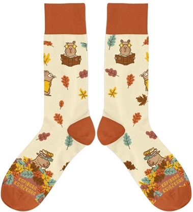 Picture of Skarpetki - Kapibara Ksikara rozm. 37/41