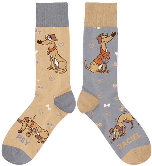 Изображение Skarpetki - Psyjaciel rozm. 42/46