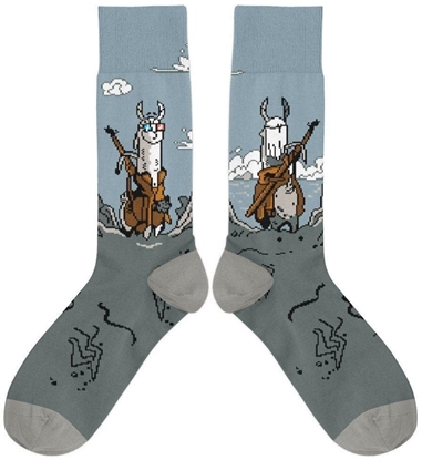 Изображение Skarpetki - Wiedlam na skale rozm. 37/41