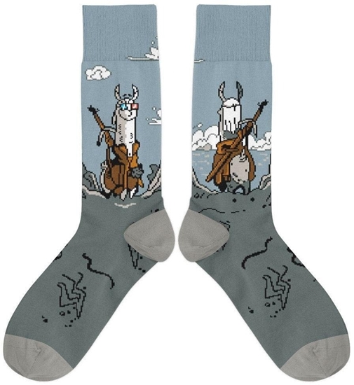 Изображение Skarpetki - Wiedlam na skale rozm. 37/41