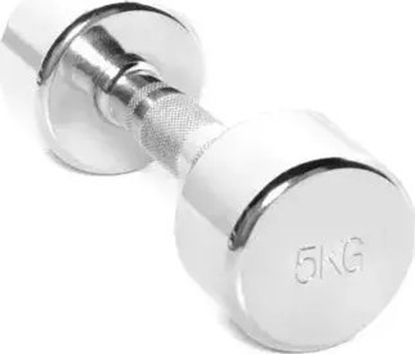 Picture of SKO Chromed dumbbell TOORX MC-5 5kg