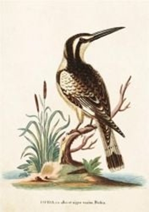 Attēls no Skona Ting Karnet ST224 B6 + koperta Zimorodek