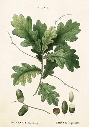 Attēls no Skona Ting Karnet ST283 B6 + koperta Li dbu