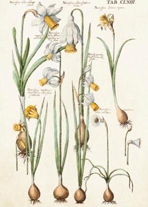 Attēls no Skona Ting Karnet ST346 B6 + koperta onkile