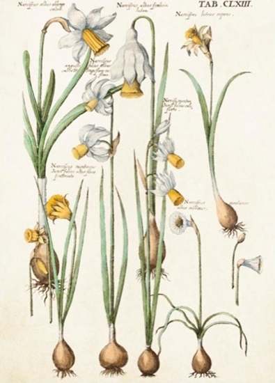 Picture of Skona Ting Karnet ST346 B6 + koperta onkile