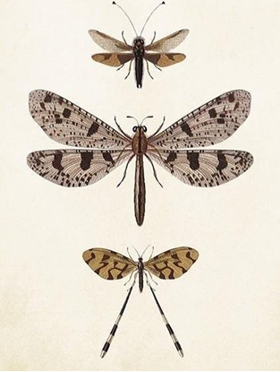 Attēls no Skona Ting Karnet ST407 B6 + koperta Waki