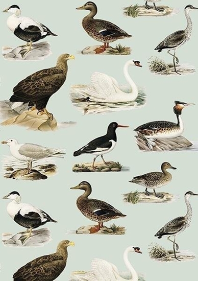 Picture of Skona Ting Karnet ST408 B6 + koperta Ptaki