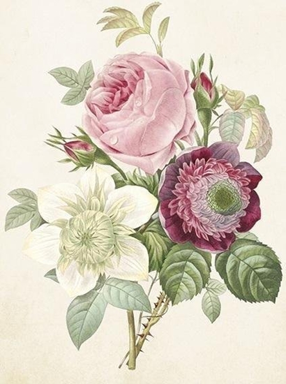 Picture of Skona Ting Karnet ST413 B6 + koperta Róe