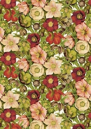 Изображение Skona Ting Karnet ST439 B6 + koperta Ciemiernik