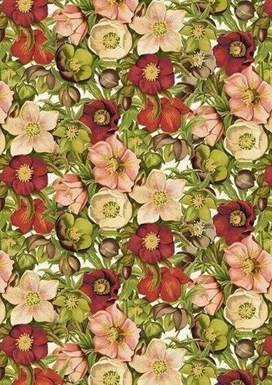 Изображение Skona Ting Karnet ST439 B6 + koperta Ciemiernik