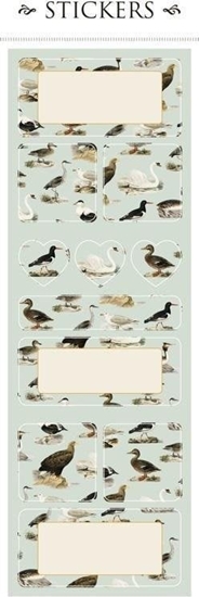 Picture of Skona Ting Naklejki ozdobne ST161-6 ptaki 2 arkusze