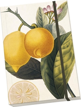 Picture of Skona Ting Notatnik ozdobny A5 STNOTE 83 Cytryna