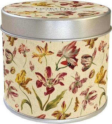 Изображение Skona Ting wieczka tulipany zapach tulipanów Wielkanoc