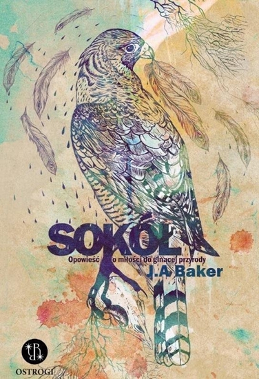 Picture of Sokó. Opowie o mioci do gincej przyrody