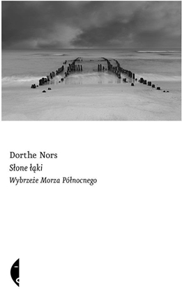 Picture of Sone ki. Wybrzee Morza Pónocnego