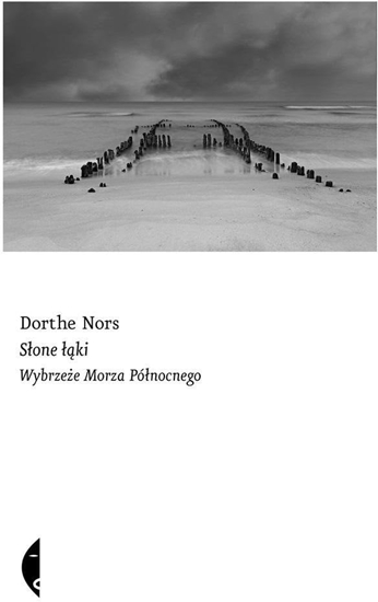 Picture of Sone ki. Wybrzee Morza Pónocnego