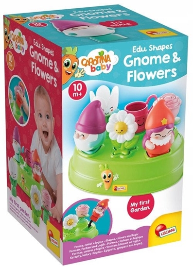 Picture of Sorter krasnale i kwiaty