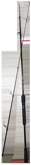 Picture of Spinings 210cm Pro Catch