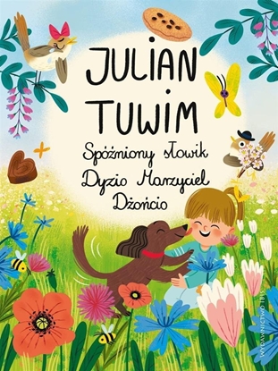 Picture of Spóniony sowik. Dyzio Marzyciel. Doncio