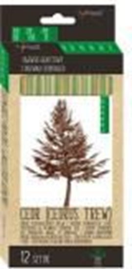 Picture of St. Majewski Oówek z drewna cedrowego