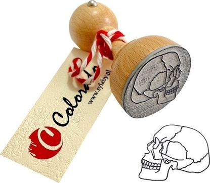 Picture of Stempel mózgoczaszka