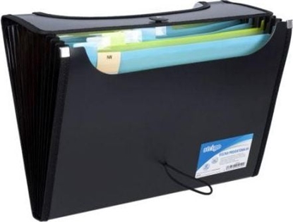 Picture of Strigo Teczka A4 z 12 przekadkami V-file czarna