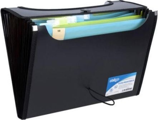 Picture of Strigo Teczka A4 z 12 przekadkami V-file czarna