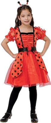 Attēls no Strój dla dzieci Biedronka rozm.120/130cm