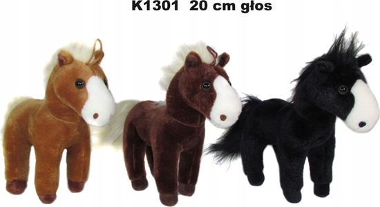 Picture of Sunday Ko K-1301 3kol z gosem 20cm 169471