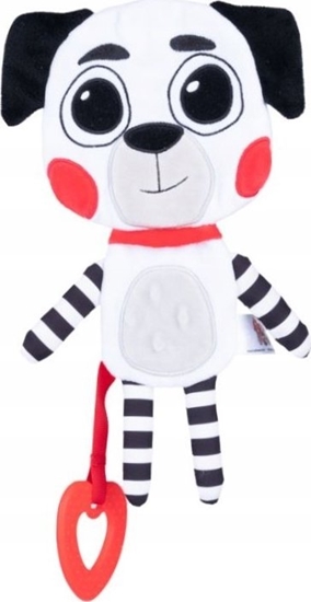 Изображение Sun-Day Kontrastowy pies