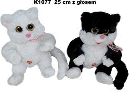 Picture of Sun-Day Kot 2kol z gosem 143655 SUN-DAY - K1077