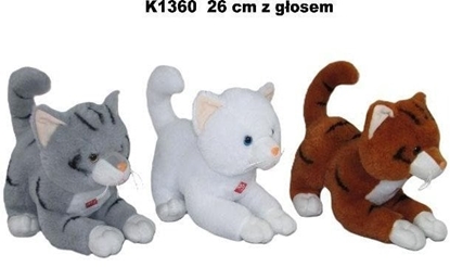 Picture of Sunday Kot glos 26cm MIX