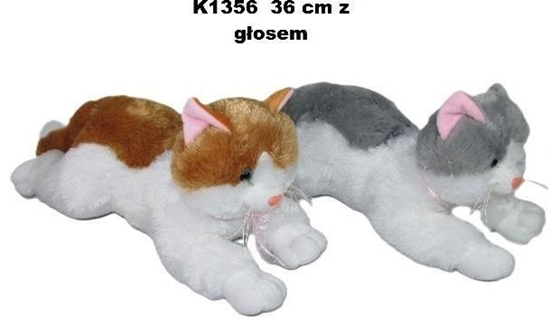 Picture of Sunday Kot glos 36cm MIX