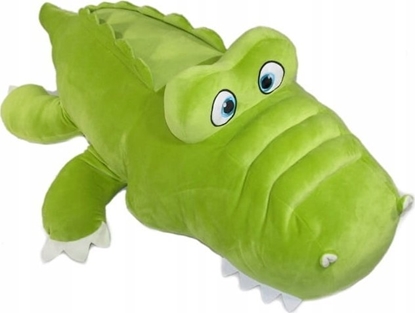 Изображение Sun-Day Krokodyl K-1253 120cm 165077