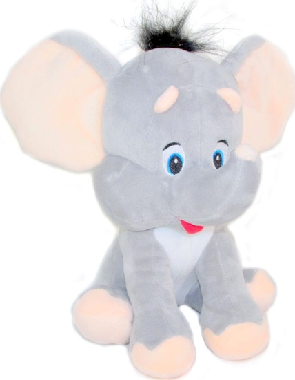 Picture of Sun-Day So 21cm.130051