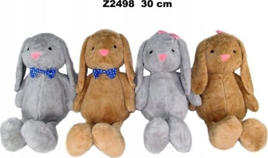 Picture of Sunday Zajc Z-2498 2kol 2rodz 30cm 158512