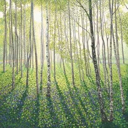 Attēls no Susan Entwistle Karnet z kopert Brzozowy las