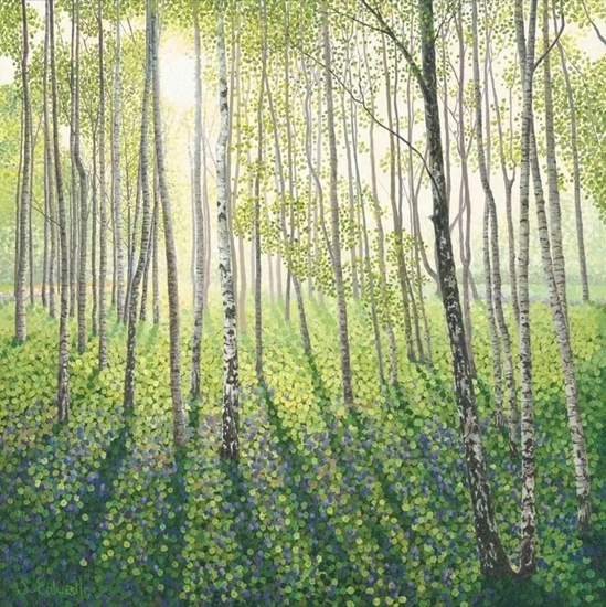 Picture of Susan Entwistle Karnet z kopert Brzozowy las