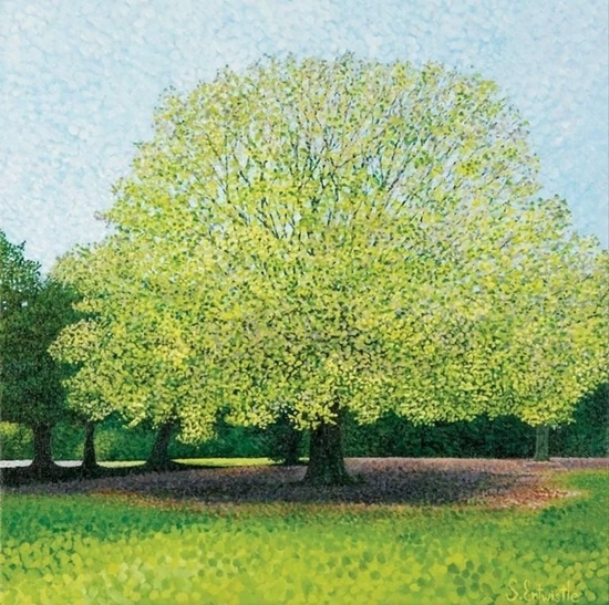 Picture of Susan Entwistle Karnet z kopert Buk paprociowy