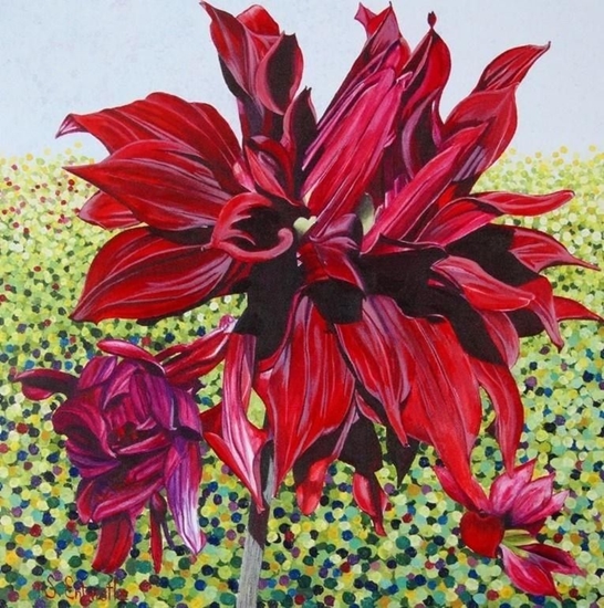 Picture of Susan Entwistle Karnet z kopert Czarna dalia