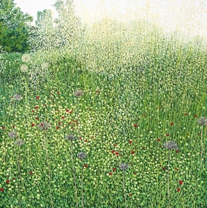 Attēls no Susan Entwistle Karnet z kopert Trawy Harlow Carr