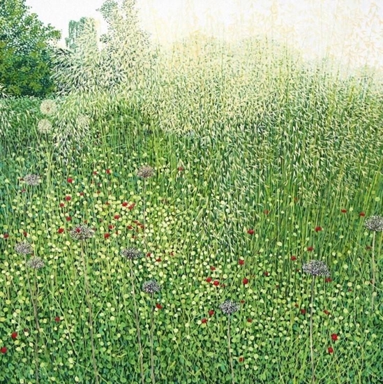 Picture of Susan Entwistle Karnet z kopert Trawy Harlow Carr