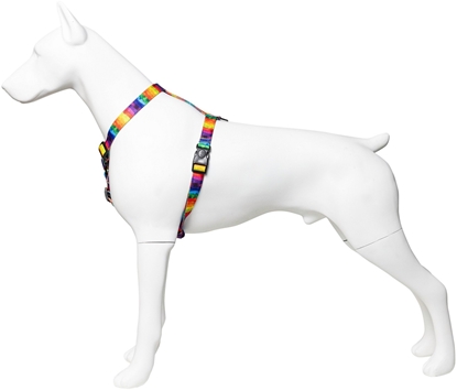 Picture of Szelki tama dla psa Tcza, 16mm/30-60cm