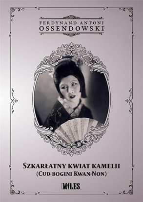 Picture of Szkaratny kwiat kamelii