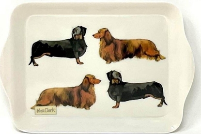 Picture of Taca kuchenna maa Jamniki