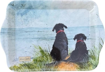 Picture of Taca kuchenna maa Psy na wydmach