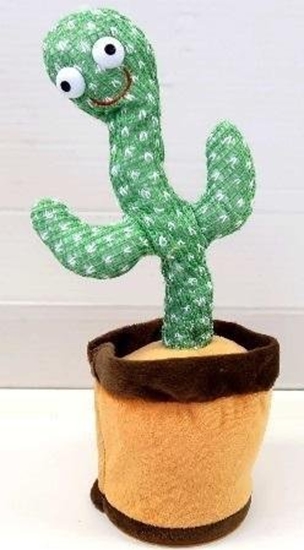 Picture of Taczcy kaktus