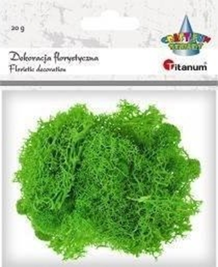 Picture of Tajemniczy ogród Mech chrobotek jasnozielony 20g