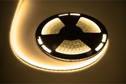Picture of Tama LED Rebel Sznur diodowy 25m Rebel (1500x5050 SMD) ciepy biay wodoodporny, 12V