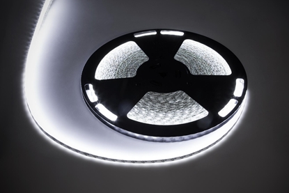 Picture of Tama LED Rebel Sznur diodowy 25m Rebel (1500x5050 SMD) zimny biay wodoodporny, 12V